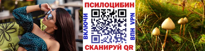 где найти   Сатка  Галлюциногенные грибы ЛСД 